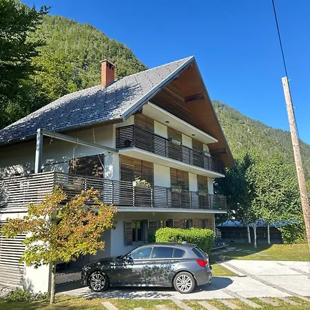 Cozy Modern In Radovna Apartman Mojstrana